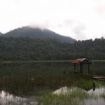 Danau Taman Hidup