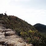 Puncak Gunung Lawu
