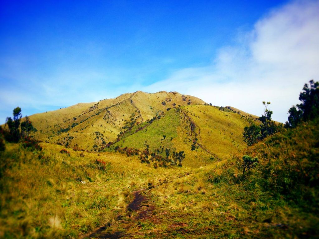 Gunung Merbabu