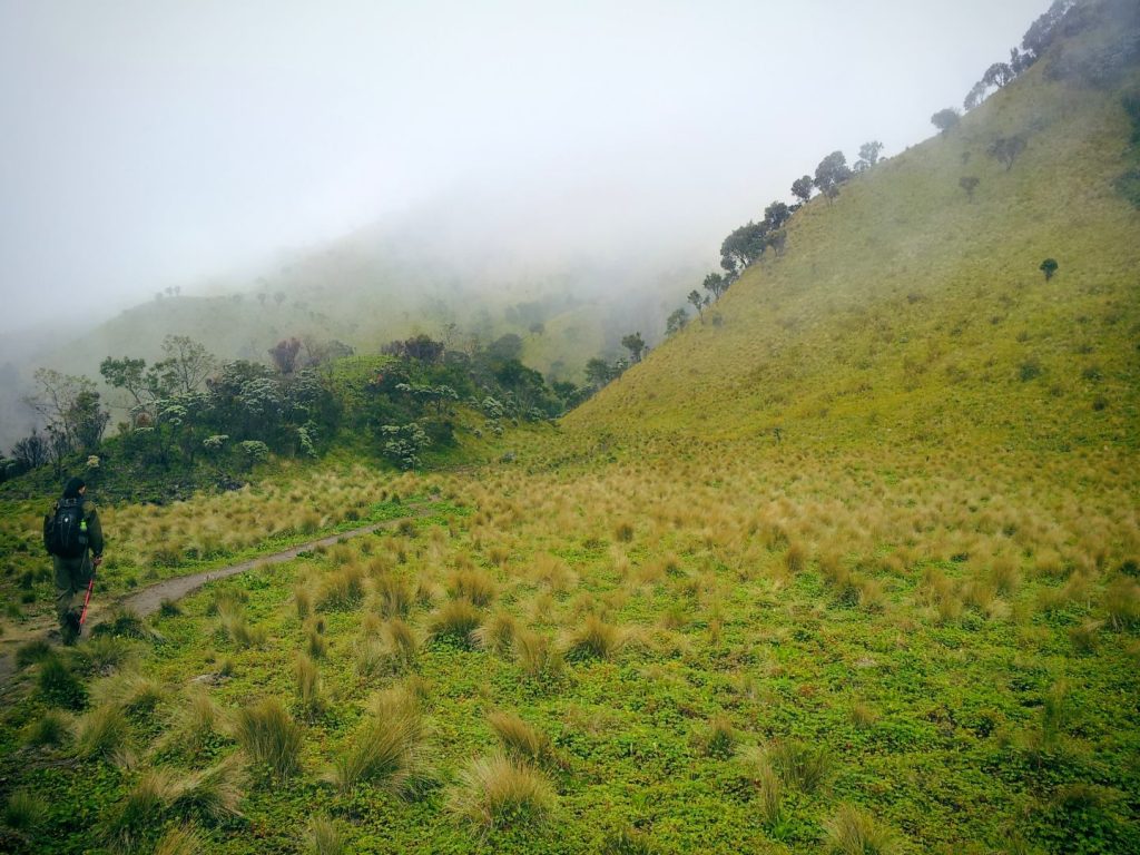 Sabana Gunung Merbabu