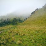 Sabana Gunung Merbabu