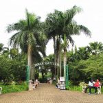 Rute ke Taman Cattleya Tomang Jakarta Barat