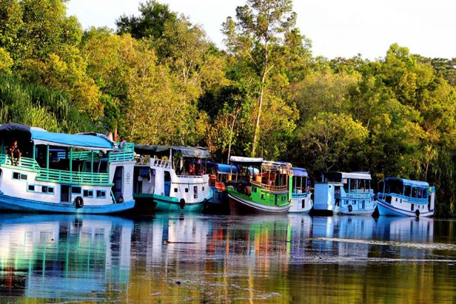 Wisata Fauna Di  Kalimantan  Tengah  Penuh Hewan  Langka  