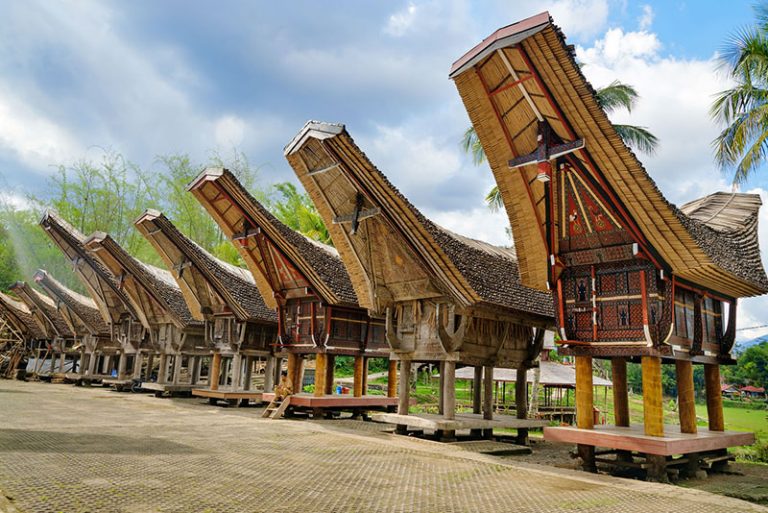 10 Destinasi Wisata Toraja Dari yang Tradisional Hingga Berbau Alam