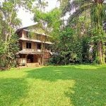 Wisata-Alam-Kampung-99-Pepohonan