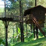 Wisata-Rumah-Pohon-Bekasi-Bernuansa-Alam