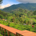 Serunya-Agrowisata-Gunung-Mas-Penuh-Petualangan-Yang-Menantang