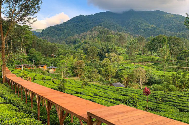 Serunya Agrowisata Gunung Mas Penuh Petualangan Yang Menantang - Hari ...